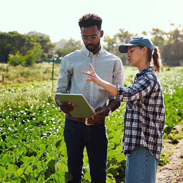 Agrofinance